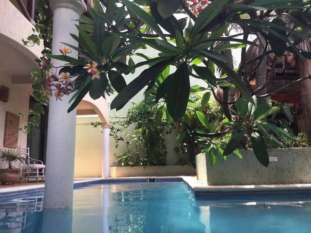 Guest house Soggy Peso Bed & Cocktail Hotel Isla Mujeres