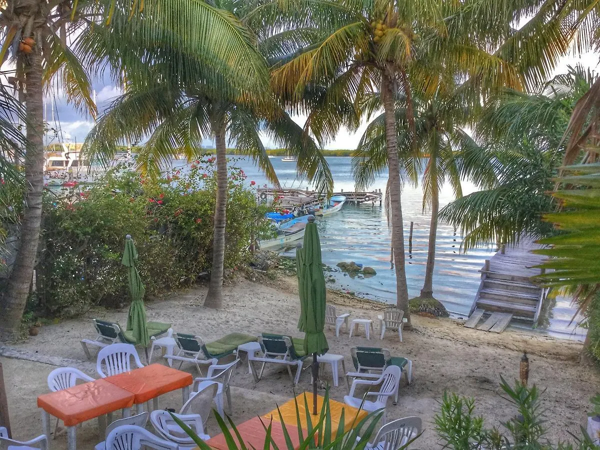 Soggy Peso Bed & Cocktail Hotel Isla Mujeres Mexico