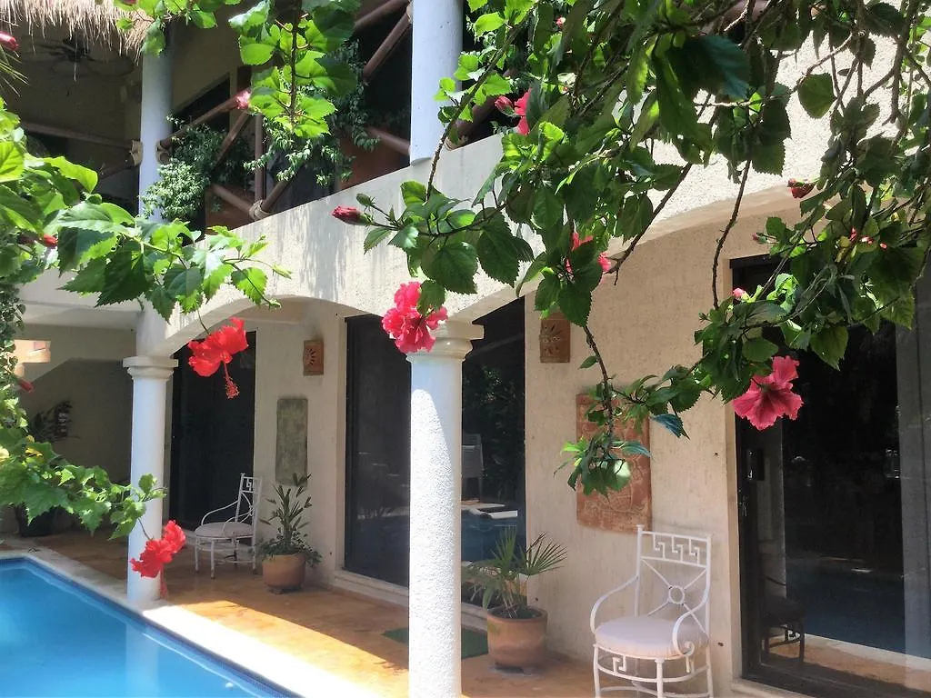 Hotel Soggy Peso Bed & Cocktail Isla Mujeres Penzion