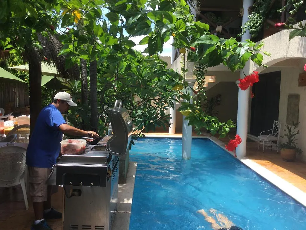 Hotel Soggy Peso Bed & Cocktail Isla Mujeres